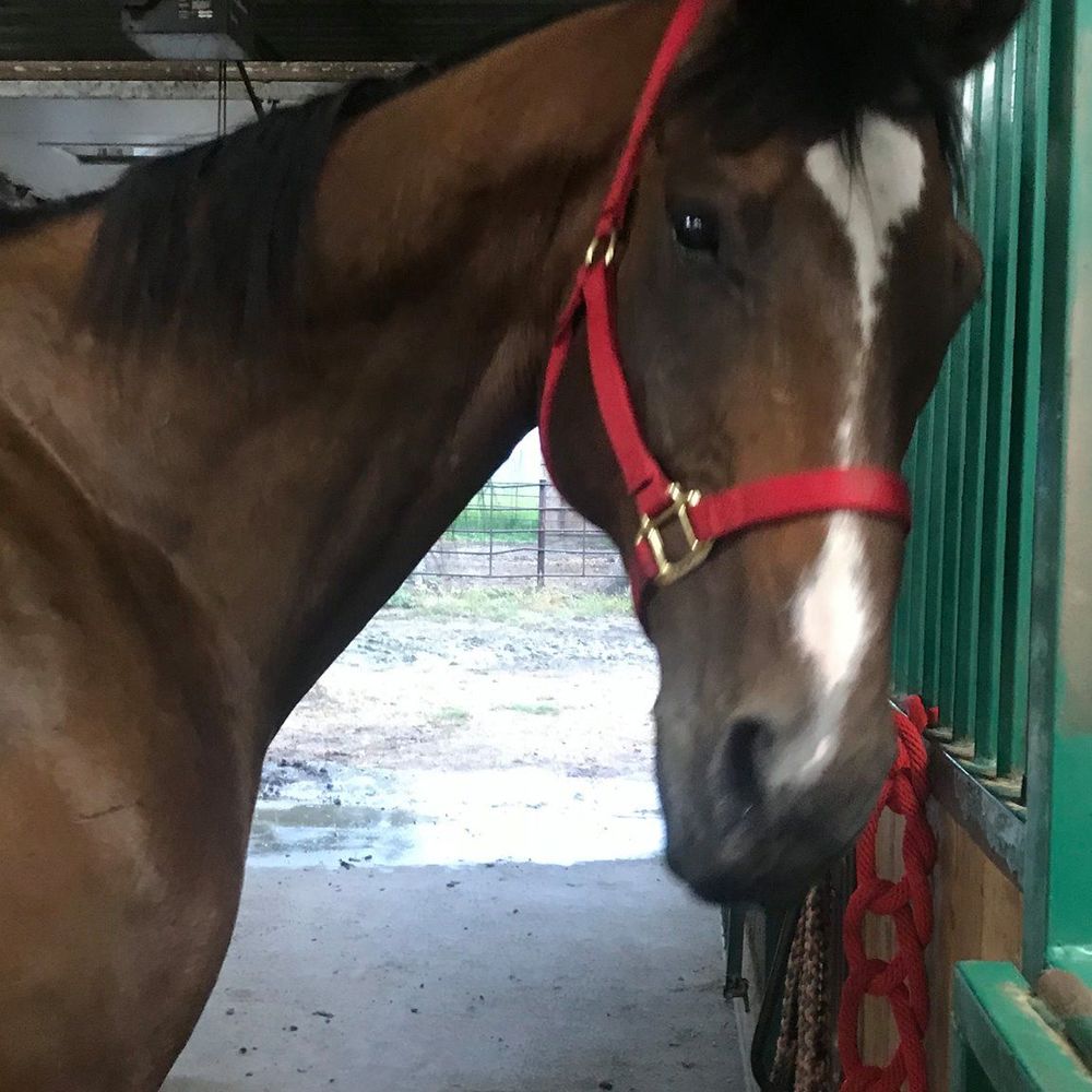 Meet your Posher, Ava